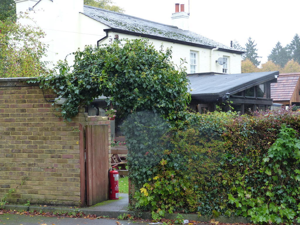 The Sun Inn Englefield Green Eksteriør billede